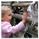 Bambini che scoprono gli animali con la guida