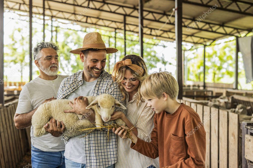 Visita tra gli ovini in stalla